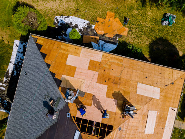 Best Roof Gutter Cleaning  in Granite City, IL