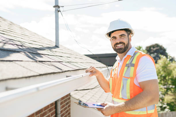 Best Roof Gutter Cleaning  in Granite City, IL